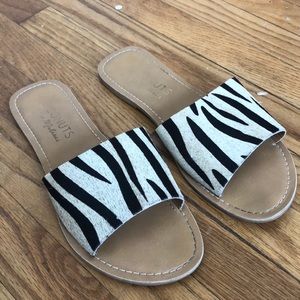 Zebra sandals